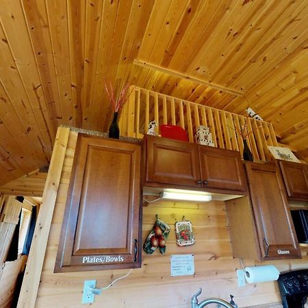 White Pine Cabin By Canyonlands Lodging Monticello Ngoại thất bức ảnh