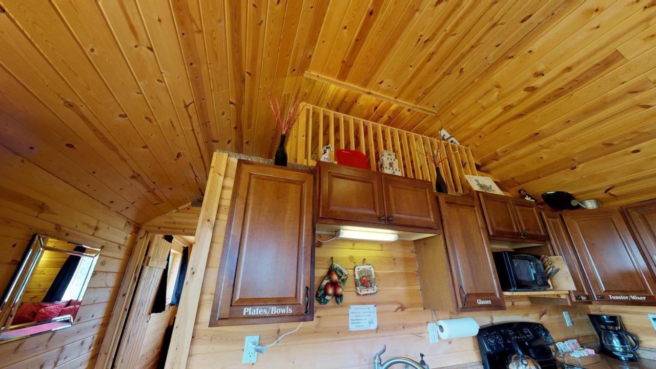 White Pine Cabin By Canyonlands Lodging Monticello Ngoại thất bức ảnh
