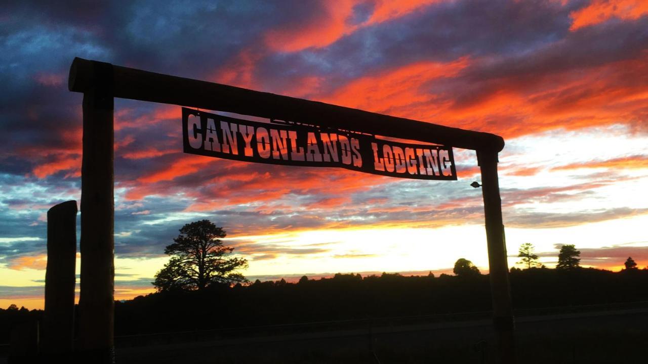 White Pine Cabin By Canyonlands Lodging Monticello Ngoại thất bức ảnh
